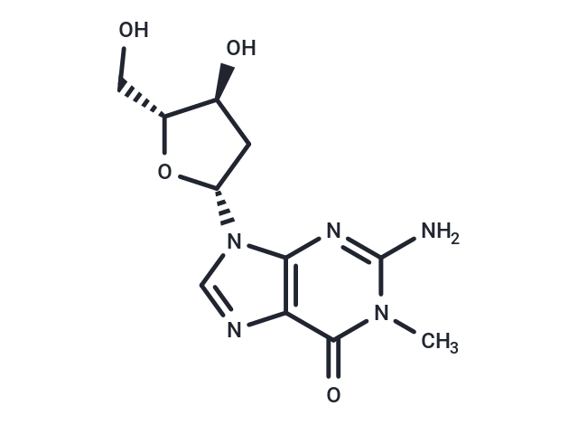 2'-Deoxy-N1-methylguanosine