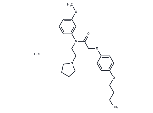Acetamide, N-(m-anisyl)-2-(p-butoxyphenoxy)-N-(2-(1-pyrrolidinyl)ethyl)-, hydrochloride