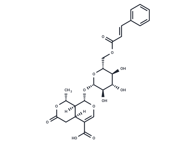 6'-O-Cinnamoyl-8-epikingisidic acid