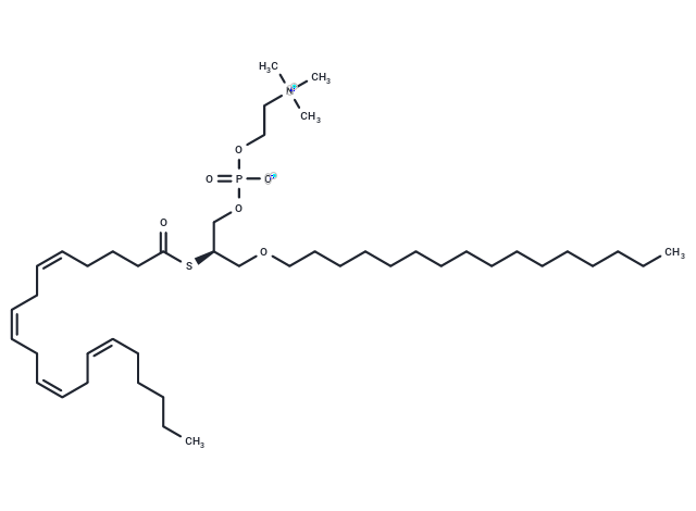Arachidonoyl thio-PC