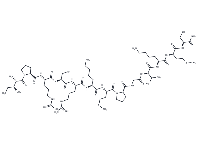 Proteasome-activating peptide 1