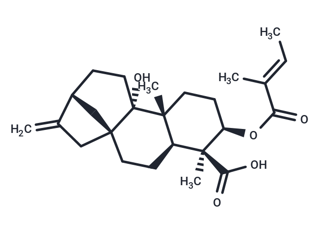 3Alaph-Tigloyloxypterokaurene L3