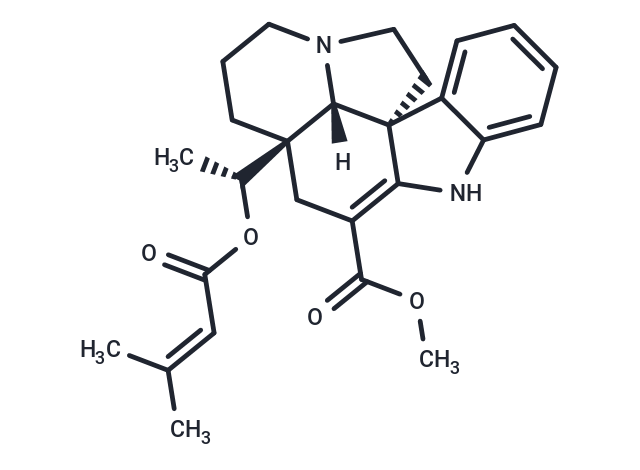 Echitovenidine