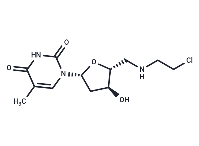 5'-Deoxy-5'-N-(2-chloroethyl)aminothymidine