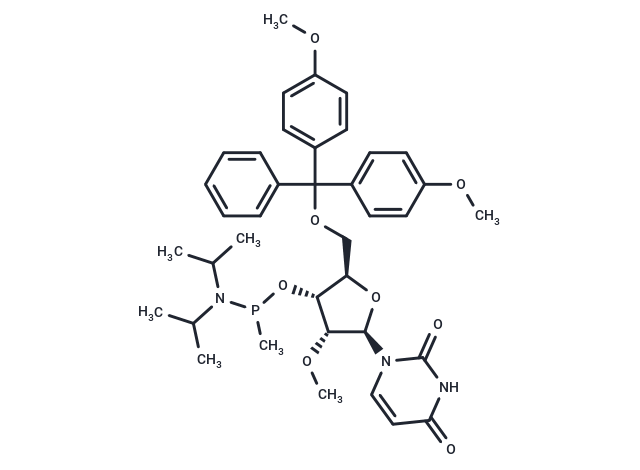 5'-O-DMTr-2'-OMeU-methyl phosphonamidite