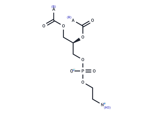 Phosphatidylethanolamine
