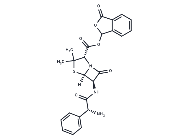 Talampicillin