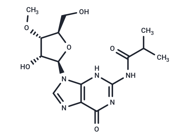 N2-iso-Butyroyl-3'-O-methylguanosine