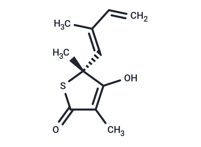 Thiolactomycin
