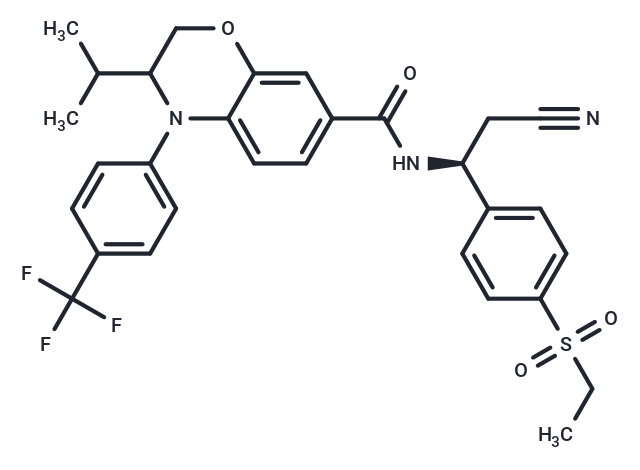 RORγt agonist 2