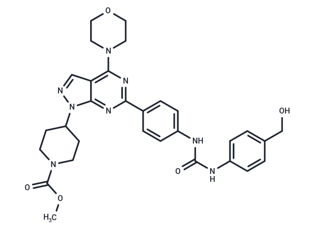 mTOR inhibitor WYE-28