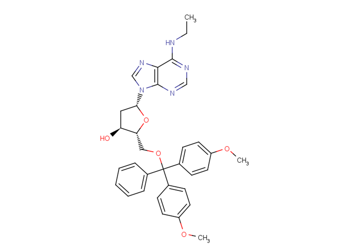 5'-O-DMTr-N6-ethyl-2'-deoxyadenosine