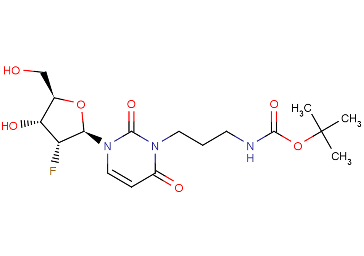 2&#39;-Deoxy-2&#39;-fluoro-N3-[3-(tert-butoxycarbonyl)  amino]propyluridine