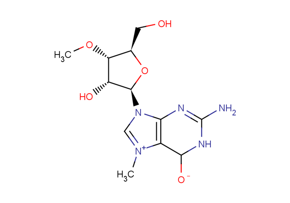 N7-Methyl-3'-O-methyl guanosine
