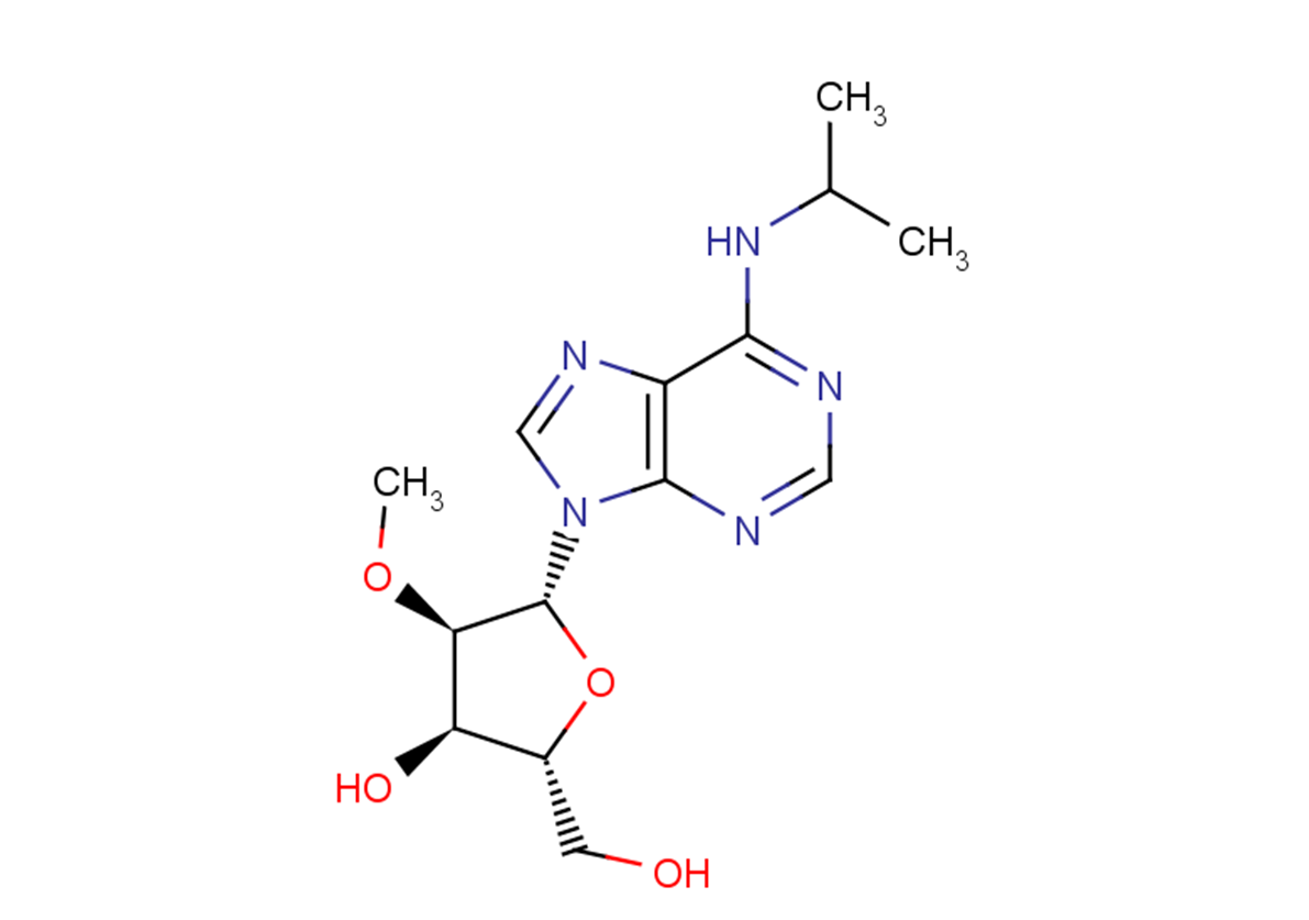 N6-iso-Propyl-2'-O-methyladenosine
