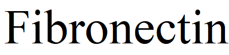 Fibronectin (recombinant human)