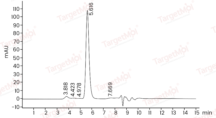 HER2/ERBB2 Protein, Rat, Recombinant (His)