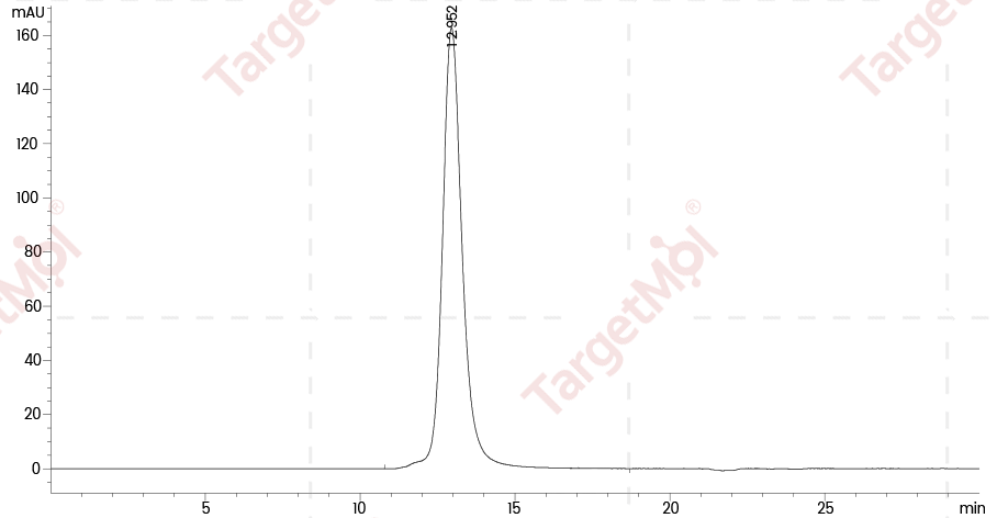 CD3D & CD3E Heterodimer Protein, Human, Recombinant (hFc & His & Flag)