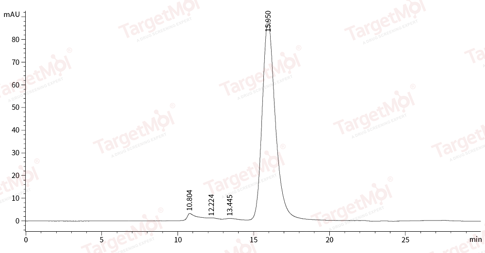 HER3/ERBB3 Protein, Mouse, Recombinant (His)