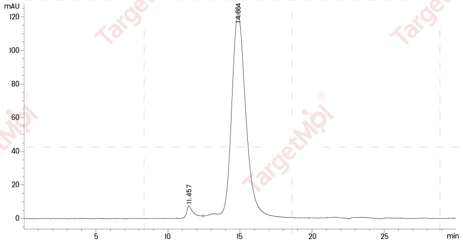 CD122/IL2RB Protein, Mouse, Recombinant (His)