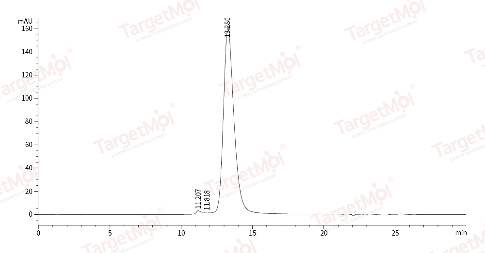 IL-18R alpha Protein, Mouse, Recombinant (His)