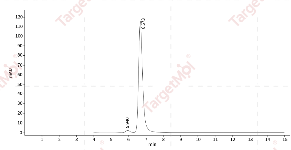 PTP1B Protein, Human, Recombinant (His)