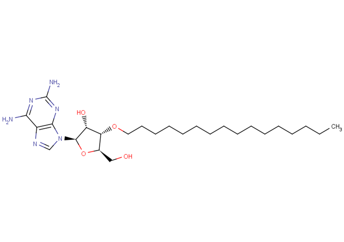 3'-O-Hexadecanyl-2-aminoadenosine
