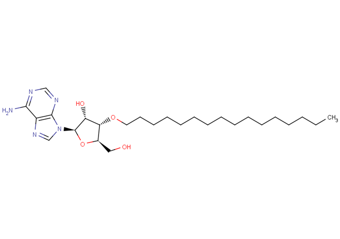 3'-O-Hexadecanyl adenosine
