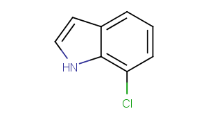 7-Chloroindole
