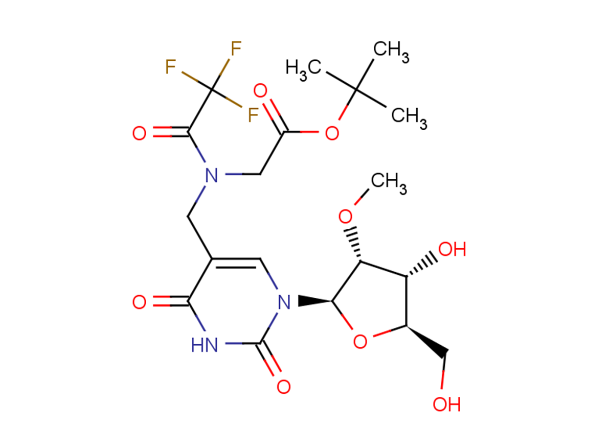 5-N-(t-Butyloxycarbonylmethyl)-N-trifluoro acetyl-aminomethyl-2'-O-methyluridine