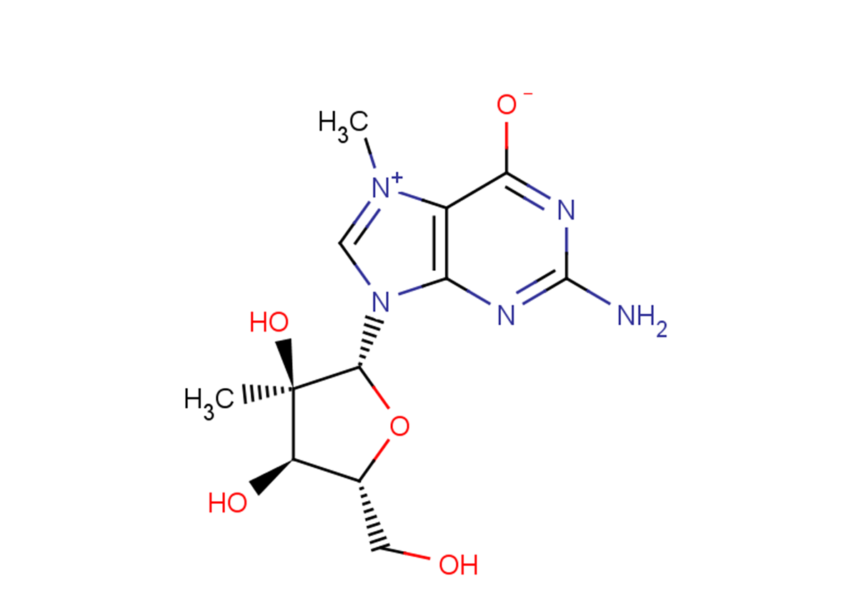 N7-Methyl-2'-beta-C-methyl guanosine