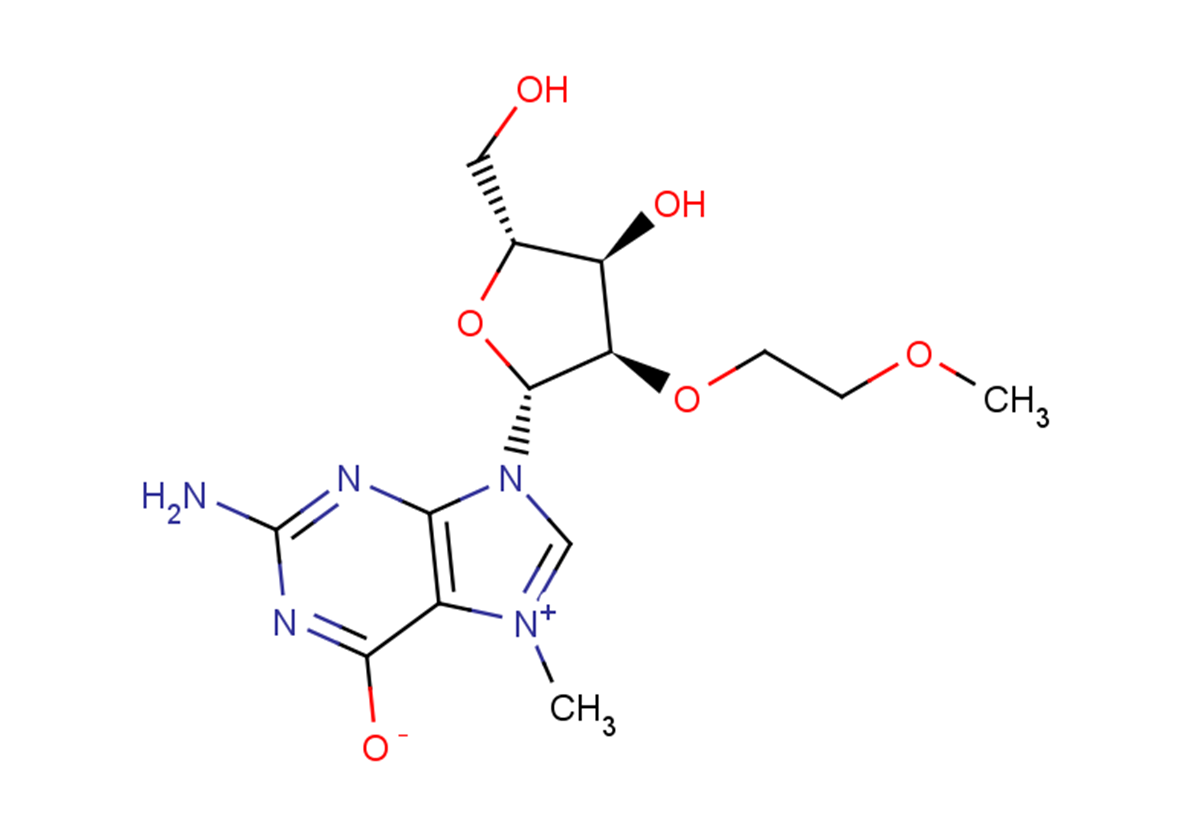 N7-Methyl-2'-O-(2-methoxyethyl)   guanosine