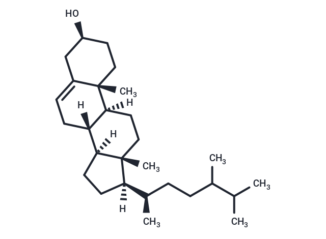 24-Methylcholesterol