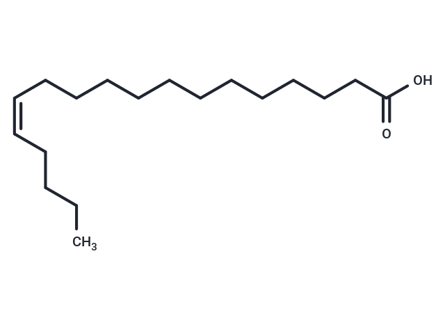 cis-13-Octadecenoic Acid