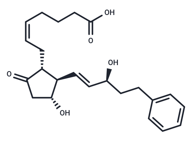 17-phenyl trinor Prostaglandin E2
