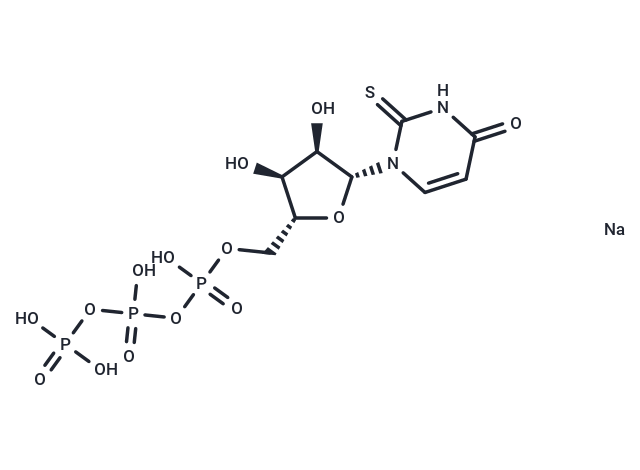 2-Thio-UTP tetrasodium