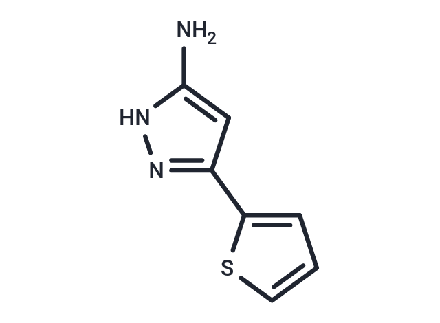 5-Thien-2-yl-1H-pyrazol-3-amine