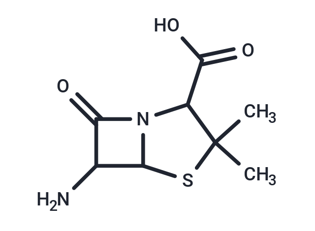 6-Aminopenicillanic acid
