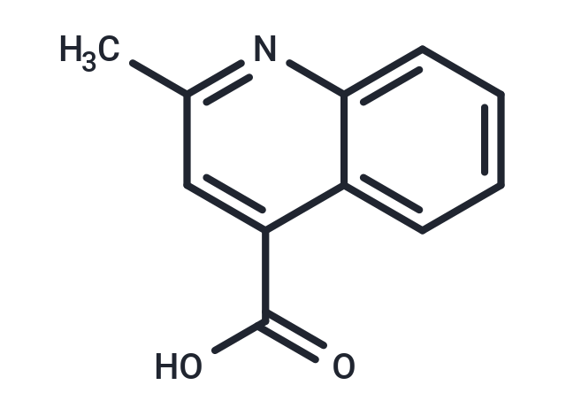 2-Methylquinoline-4-carboxylic acid