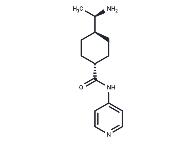 STONE  トロストリンクフティ K2S156100023S0A20 V006B Y-27632 | ROCK-I and ROCK-I inhibitor | TargetMol