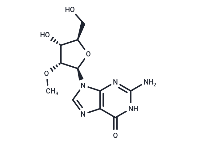 2'-OMe-Guanosine