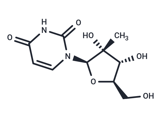 2'-C-Methyl uridine