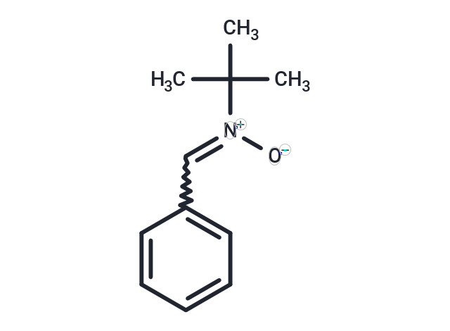 N-tert-butyl-α-Phenylnitrone
