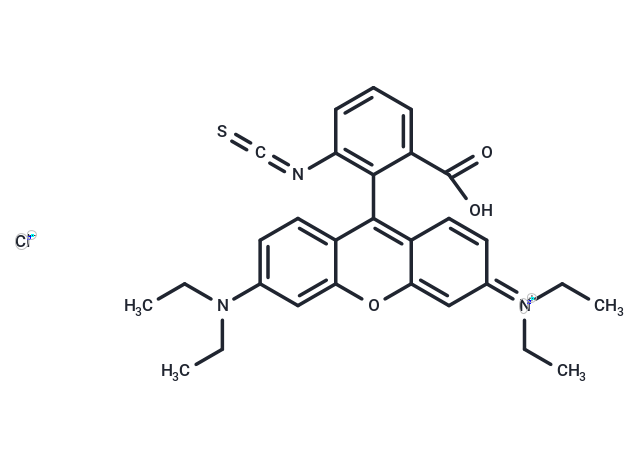 RBITC [Rhodamine B 5-isothiocyanate]