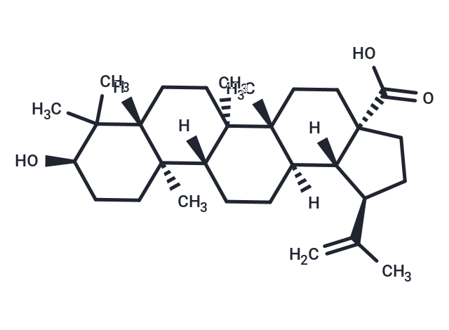 Epibetulinic acid