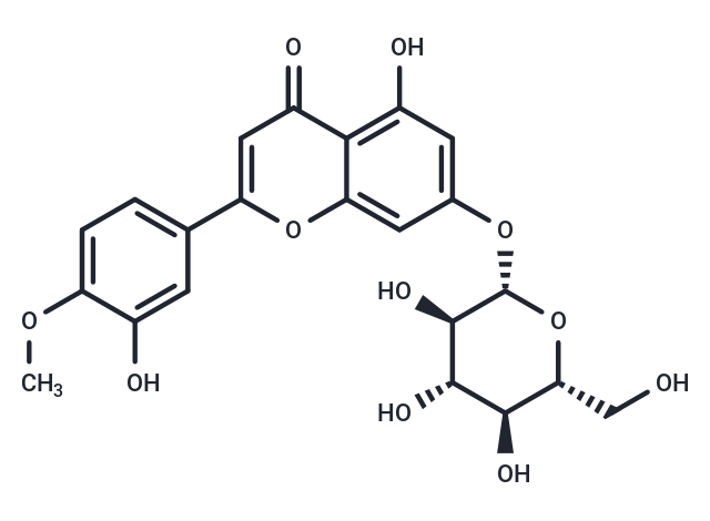 Diosmetin-7-O-β-D-glucopyranoside