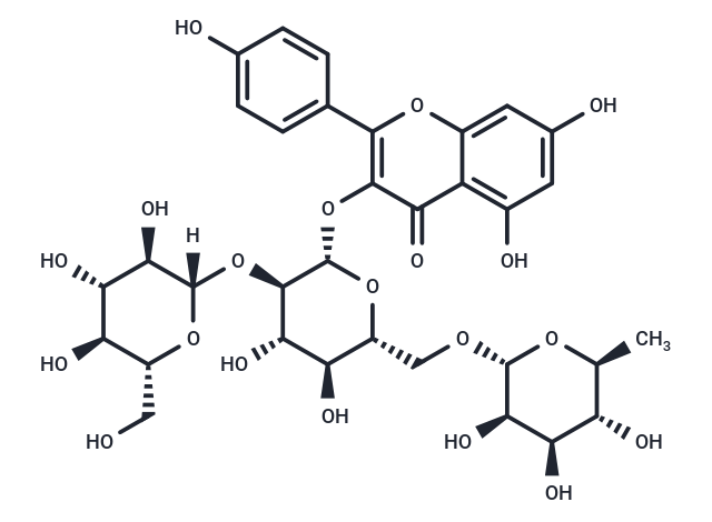 Kaempferol-3-O-(2''-O-β-D-glucopyl)-β-D-rutinoside