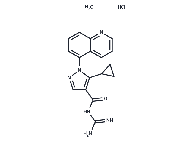 Zoniporide hydrochloride hydrate