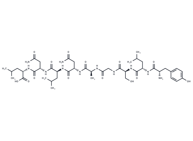 Carcinoembryonic antigen peptide