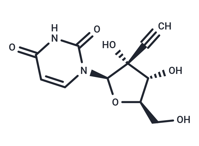 2'-beta-C-Ethynyluridine